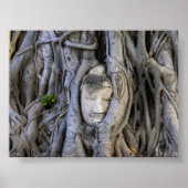 The head in the tree poster (Voorkant)