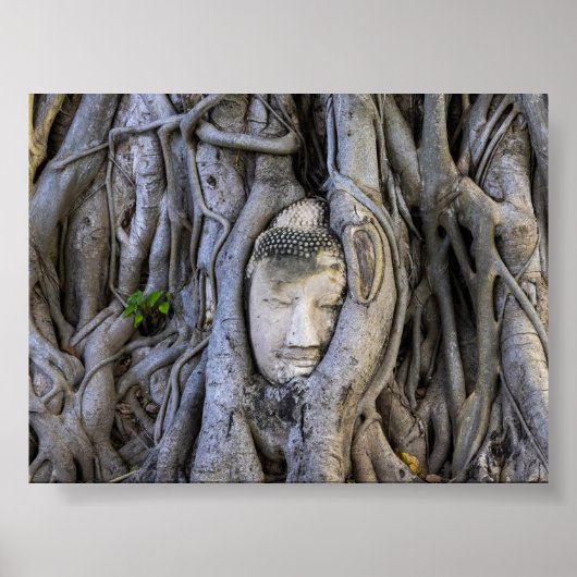 The head in the tree poster (Voorkant)