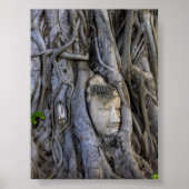 The head in the tree poster (Voorkant)