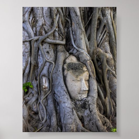 The head in the tree poster (Voorkant)