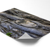 The head in the tree poster (Hoek)