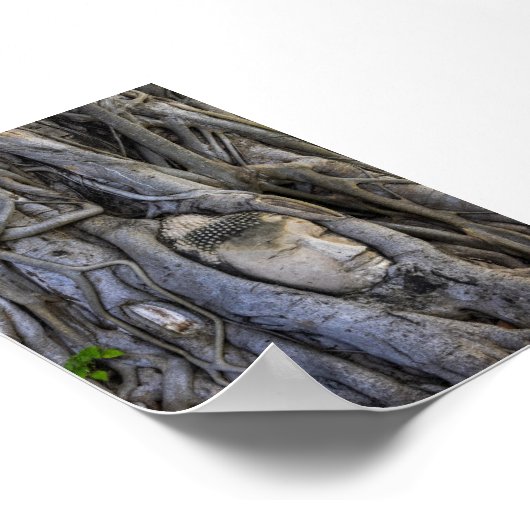 The head in the tree poster (Hoek)