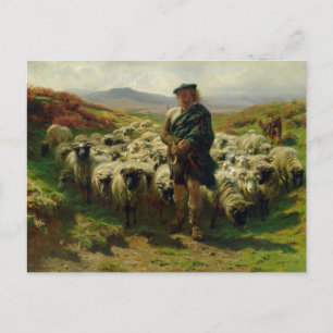 The Highland Shepherd door het Briefkaart Rosa Bon