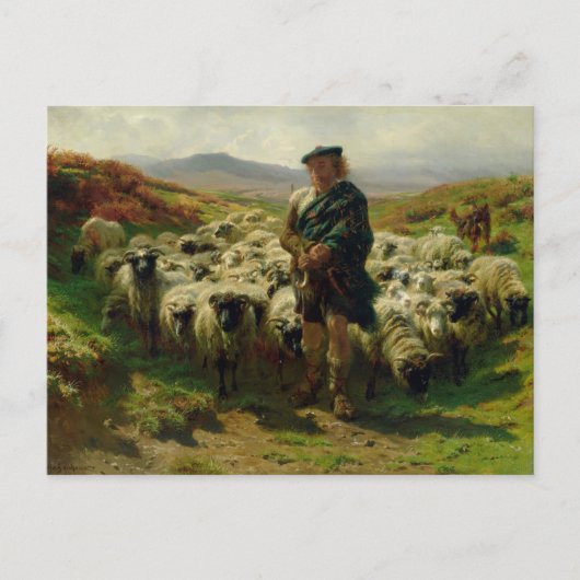 The Highland Shepherd door het Briefkaart Rosa Bon (Voorkant)
