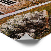 The Historic Massey House Print (Hoek)