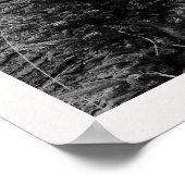 The Holiday Post Newspaper Christmas Tree Farm Poster (Hoek)