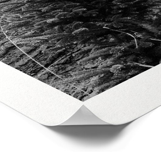 The Holiday Post Newspaper Christmas Tree Farm Poster (Hoek)