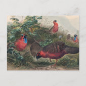 The Horned Tragopan van Joseph Wolf Briefkaart (Voorkant)