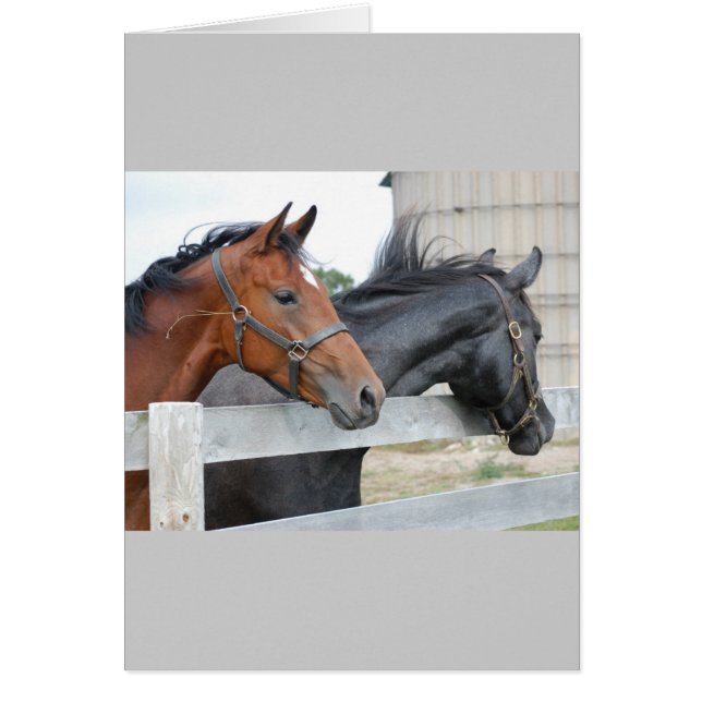 The Horse Lovers (Voorkant)