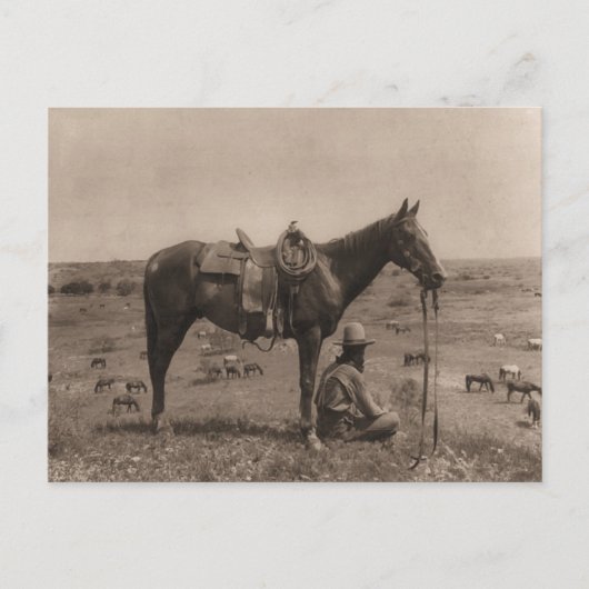 The Horse Wrangler 1910 Briefkaart (Voorkant)