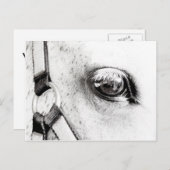 The Horses Soul Briefkaart (Voorkant / Achterkant)