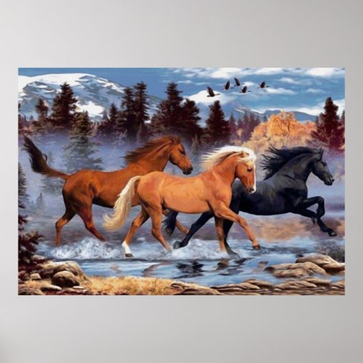 The Horses Whisperer Poster (Voorkant)