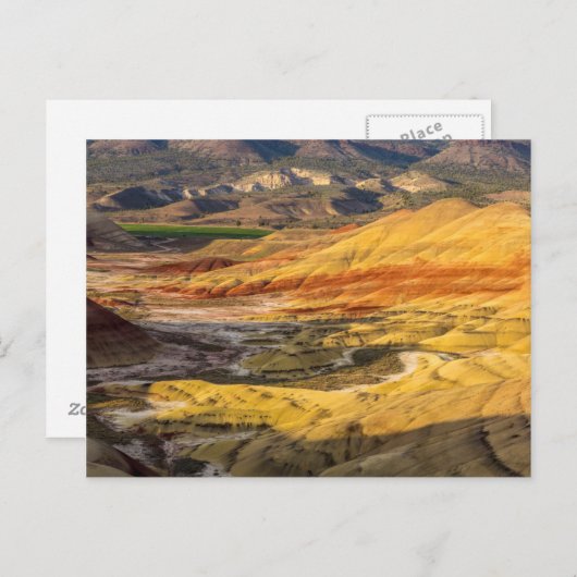 The John Day Fossil Beds 3 Briefkaart (Voorkant / Achterkant)