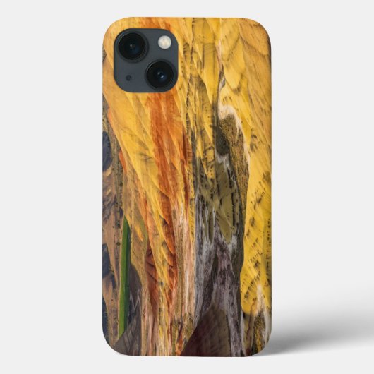 The John Day Fossil Beds 3 Case-Mate iPhone Case (Achterkant)