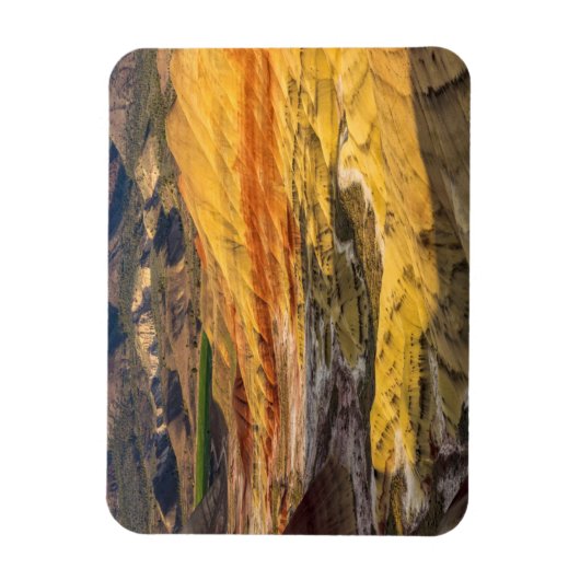 The John Day Fossil Beds 3 Magneet (Verticaal)