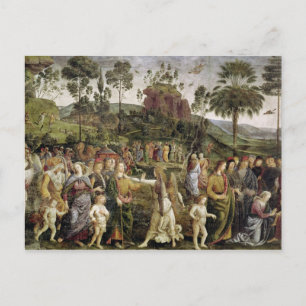 The Journey of Moses, c.1481-83 Briefkaart