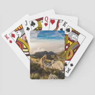 The journey pokerkaarten