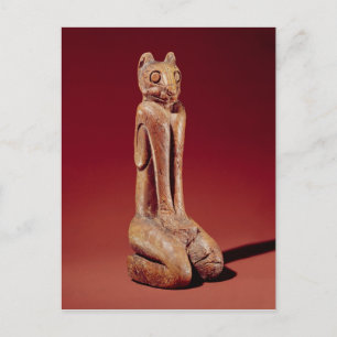 The Key Marco Cat uit Florida Briefkaart