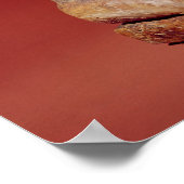 The Key Marco Cat uit Florida Poster (Hoek)