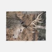 The King's Deer of Richmond Park, Londen, Verenigd Fleece Deken (Voorkant (Horizontaal))