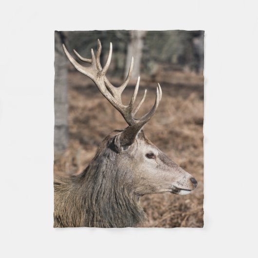 The King's Deer of Richmond Park, Londen, Verenigd Fleece Deken (Voorkant)