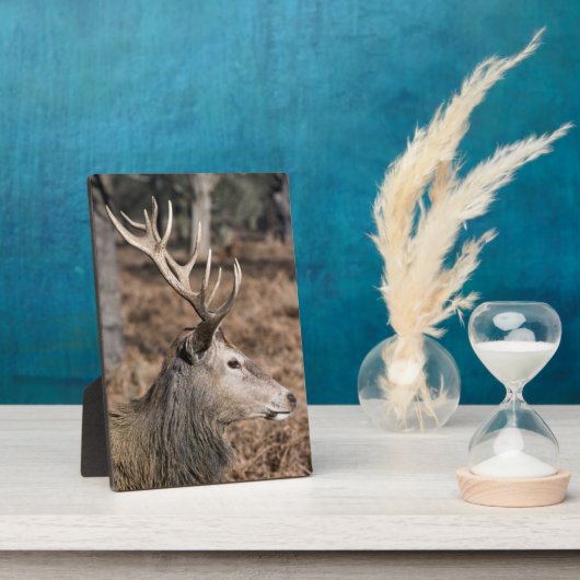 The King's Deer of Richmond Park, Londen, Verenigd Fotoplaat (Zijkant)