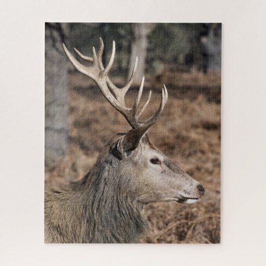 The King's Deer of Richmond Park, Londen, Verenigd Legpuzzel (Verticaal)