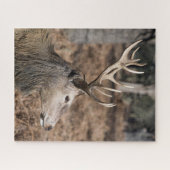 The King's Deer of Richmond Park, Londen, Verenigd Legpuzzel (Horizontaal)
