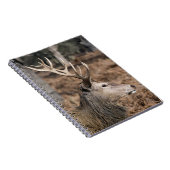 The King's Deer of Richmond Park, Londen, Verenigd Notitieboek (Rechterzijde)