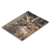 The King's Deer of Richmond Park, Londen, Verenigd Notitieboek (Linkerzijde)