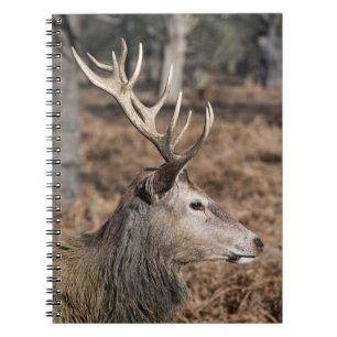 The King's Deer of Richmond Park, Londen, Verenigd Notitieboek