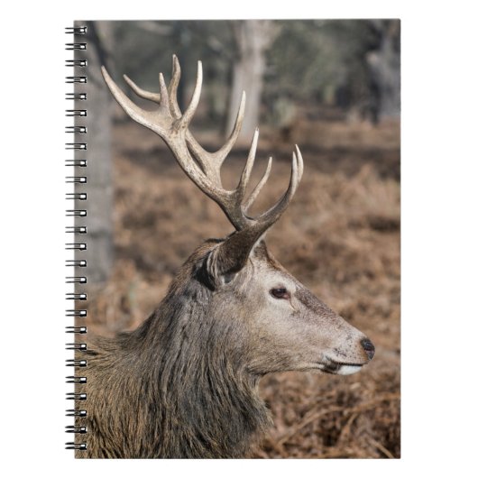 The King's Deer of Richmond Park, Londen, Verenigd Notitieboek (Voorkant)