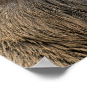 The King's Deer of Richmond Park, Londen, Verenigd Poster (Hoek)