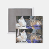 The Kittens -aka The Boys - grappige foto's Magneet (Voorkant / Achterkant)