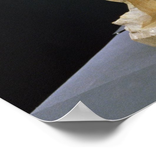 The Krumauer Madonna, c.1400 Poster (Hoek)