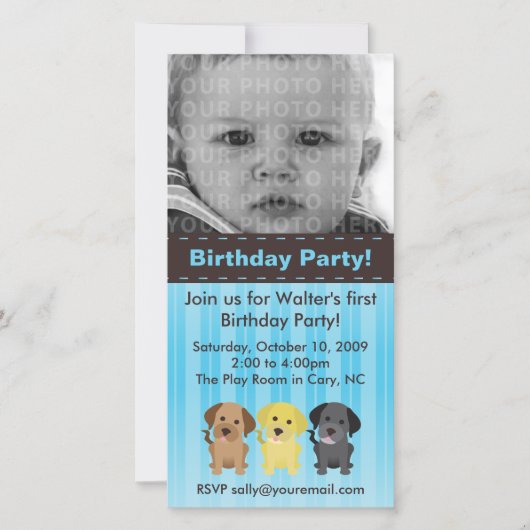 The Labradors Blue Birthday Invitation (Voorkant)