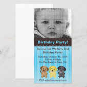 The Labradors Blue Birthday Invitation (Voorkant / Achterkant)