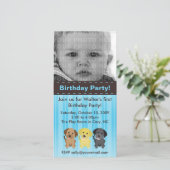 The Labradors Blue Birthday Invitation (Staand voorkant)