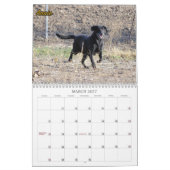 The Labradors of Four Paws Kennel Kalender (Mar 2027)