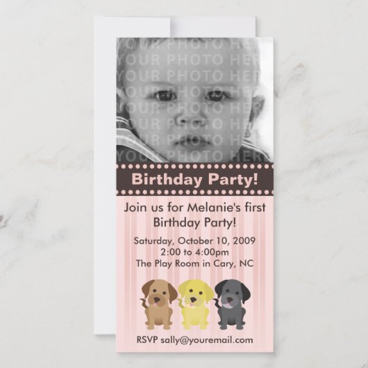 The Labradors Pink Birthday Invitation (Voorkant)