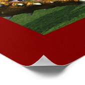 The Lady en Dragon Poster (Hoek)