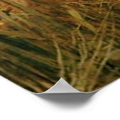 The Lady of Shalott (1888) ~ Fine Art Canvas Poster (Hoek)