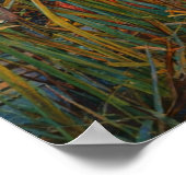 The Lady of Shalott by John William Waterhouse Poster (Hoek)