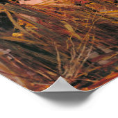 The Lady of Shalott John William Waterhouse Poster (Hoek)