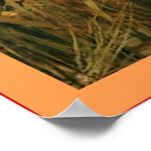 The Lady of Shalott Poster (Hoek)