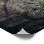 The Lady with Disheveled Hair, Leonardo da Vinci Poster (Hoek)