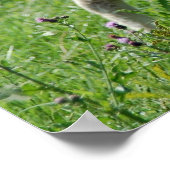 The Lamb Poster (Hoek)