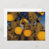 The Lantern Bearers, 1908, van Maxfield Parrish Briefkaart (Voorkant / Achterkant)