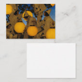 The Lantern Bearers, 1908, van Maxfield Parrish Notitiekaartje (Voorkant / Achterkant)