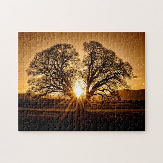 The Last Burst of Sunset - 11x14 - 252 pcs. Legpuzzel (Horizontaal)
